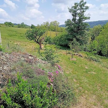 Ecrin De Verdure En Ardeche Verte Colombier-le-Vieux Bagian luar foto