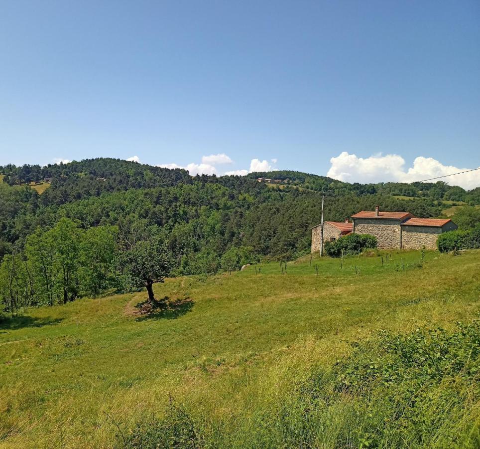 Ecrin De Verdure En Ardeche Verte Colombier-le-Vieux Bagian luar foto
