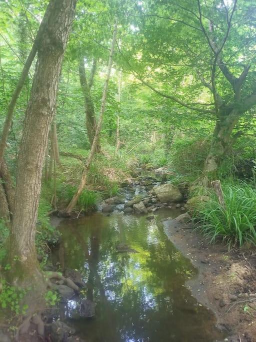 Ecrin De Verdure En Ardeche Verte Colombier-le-Vieux Bagian luar foto