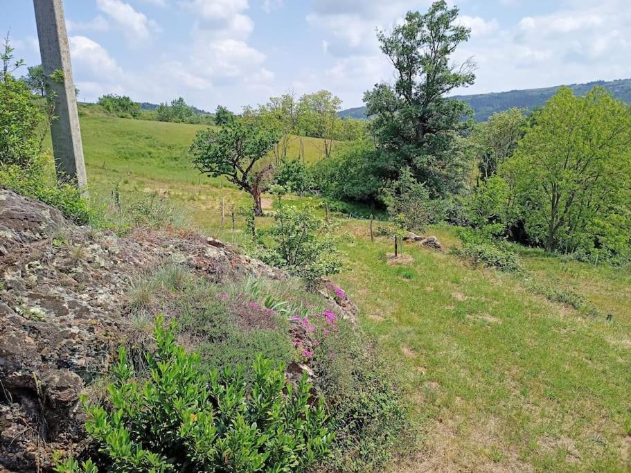 Ecrin De Verdure En Ardeche Verte Colombier-le-Vieux Bagian luar foto